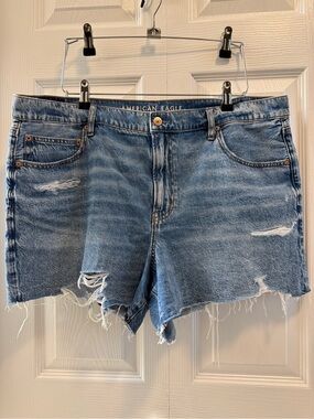 American Eagle Outfitters ‘90s boyfriend shorts